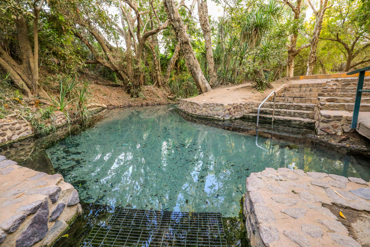 Clear thermal pool surrounded by native vegetation and stone steps at Katherine Hot Springs, Northern Territory