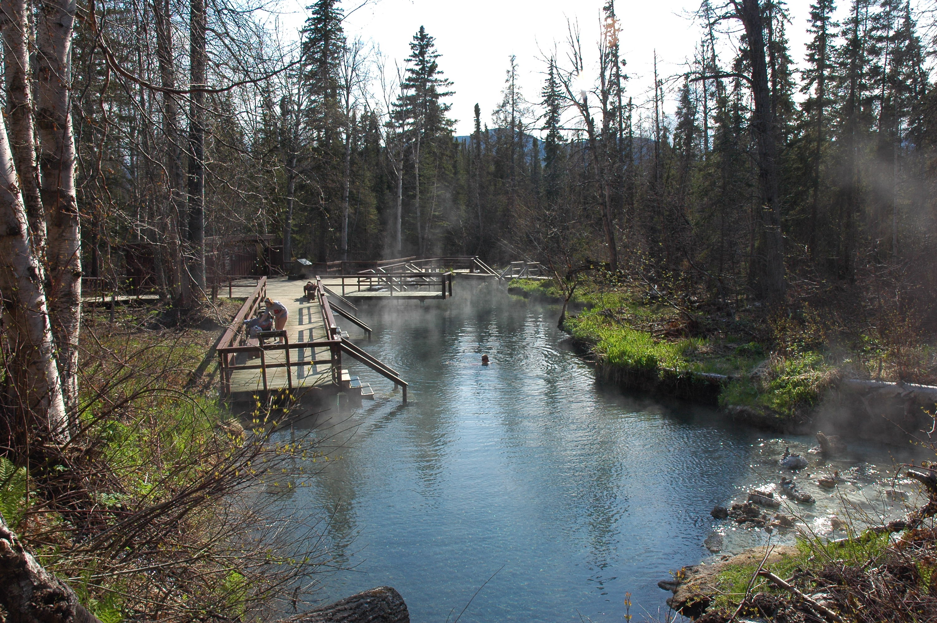 Alpha Pool at Liard River Hot Springs in British Columbia