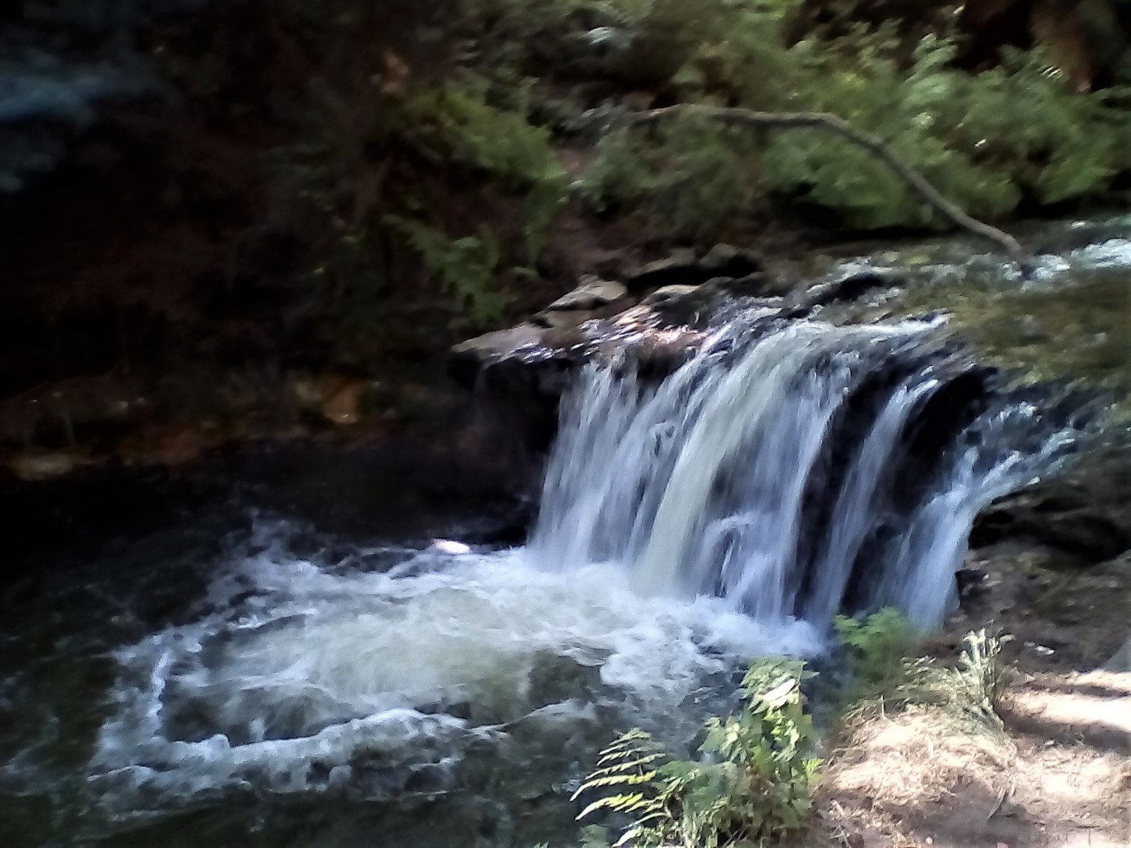 Kerosene Creek geothermal waterfall near Rotorua, New Zealand